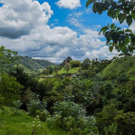 Hostal Rural La Montana Alquiyapura 살렌토 외부 사진