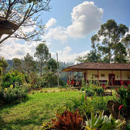 Hostal Rural La Montana Alquiyapura 살렌토 외부 사진
