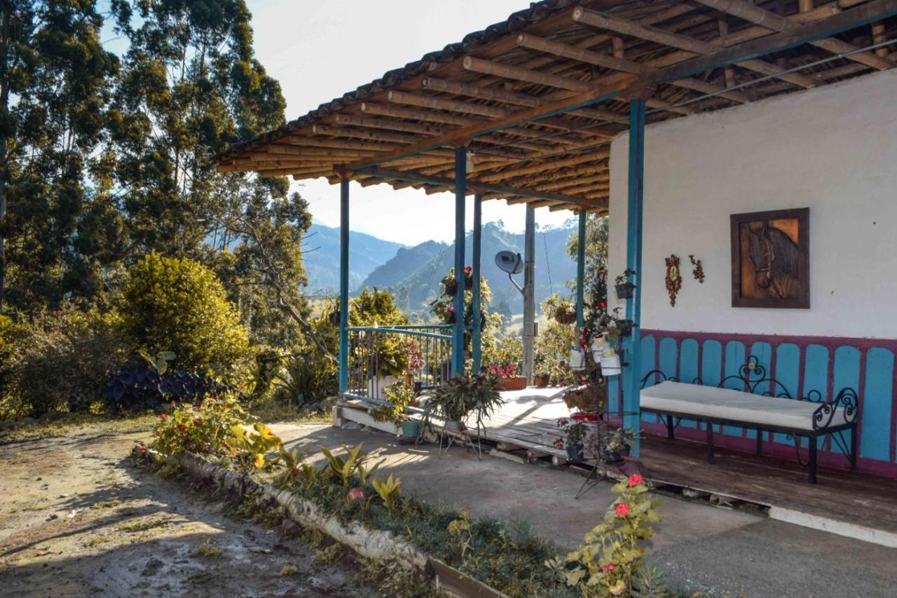 Hostal Rural La Montana Alquiyapura 살렌토 외부 사진