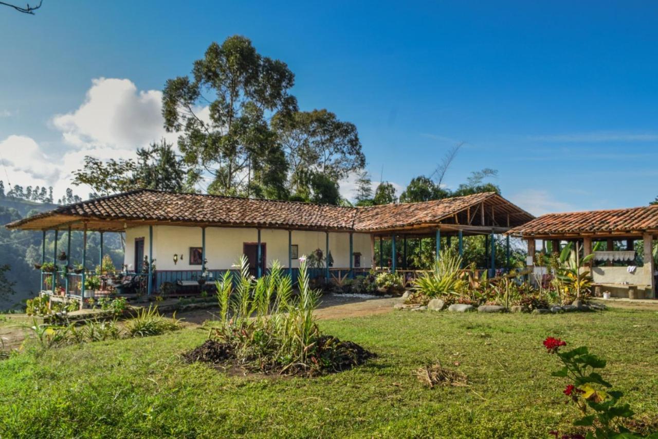 Hostal Rural La Montana Alquiyapura 살렌토 외부 사진