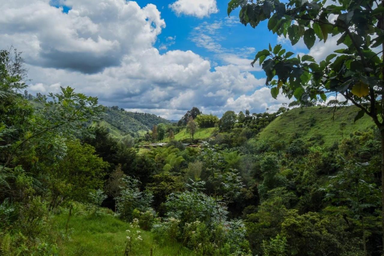 Hostal Rural La Montana Alquiyapura 살렌토 외부 사진